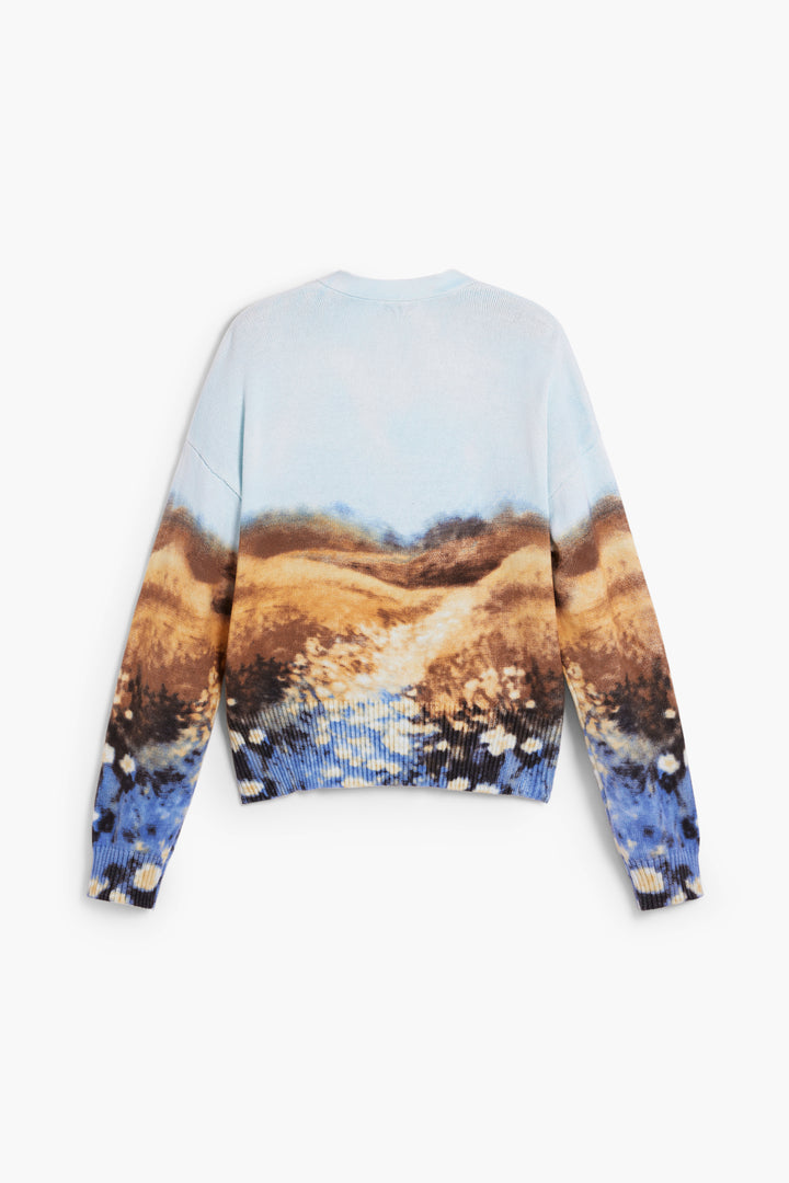 Desigual Landscape Cardigan